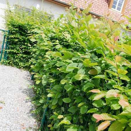 Whitley Cottage Condette Εξωτερικό φωτογραφία